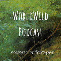 Forager Podcast - Anna Lewington - An Etnobotanist's View